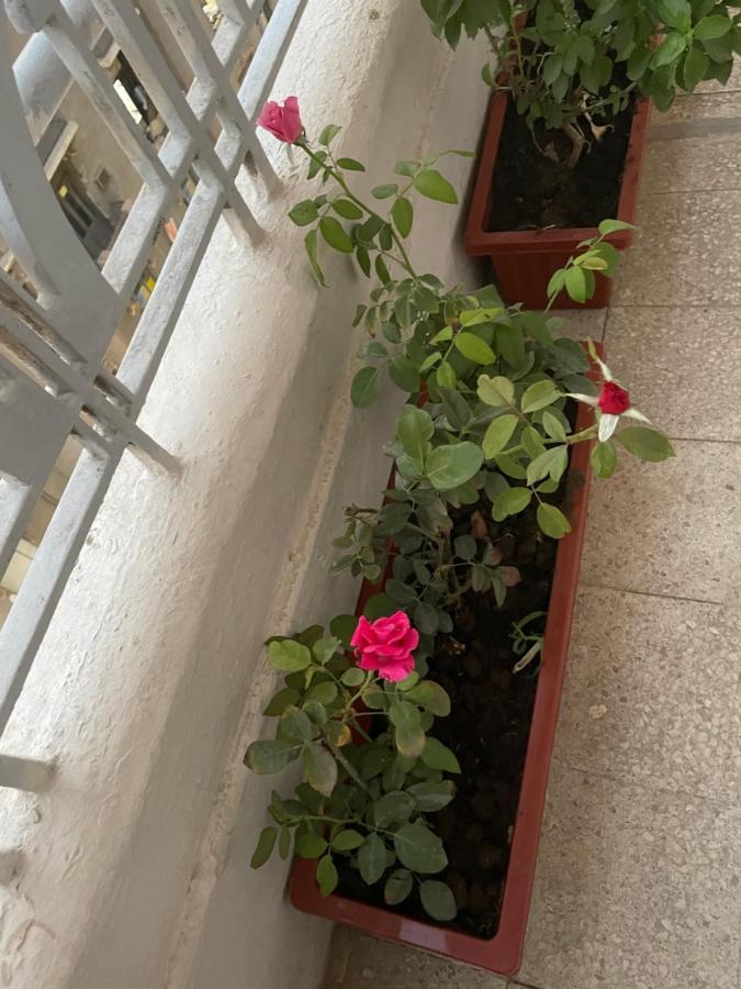 Central Cairo Hotel المظهر الخارجي الصورة