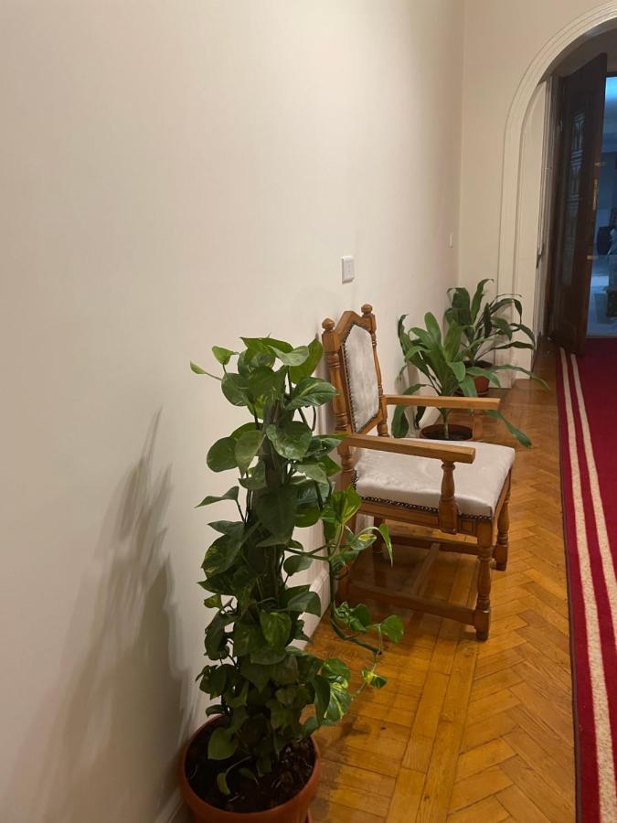 Central Cairo Hotel المظهر الخارجي الصورة